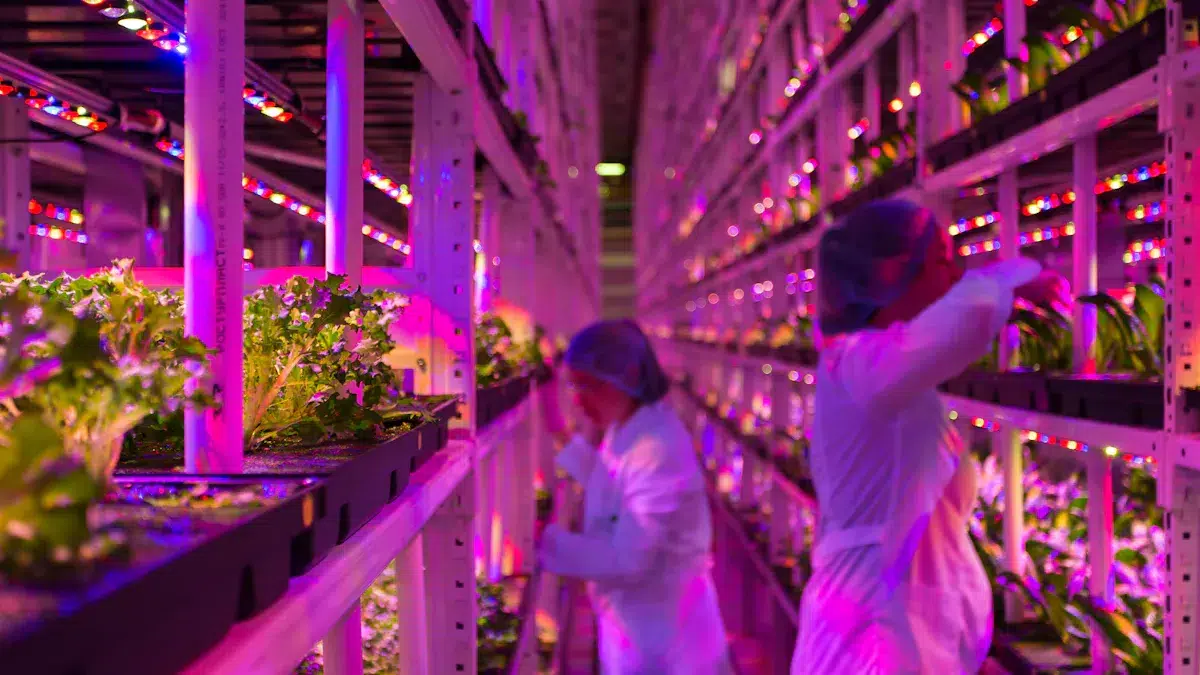 Future Trends and Opportunities in the Biotech Market