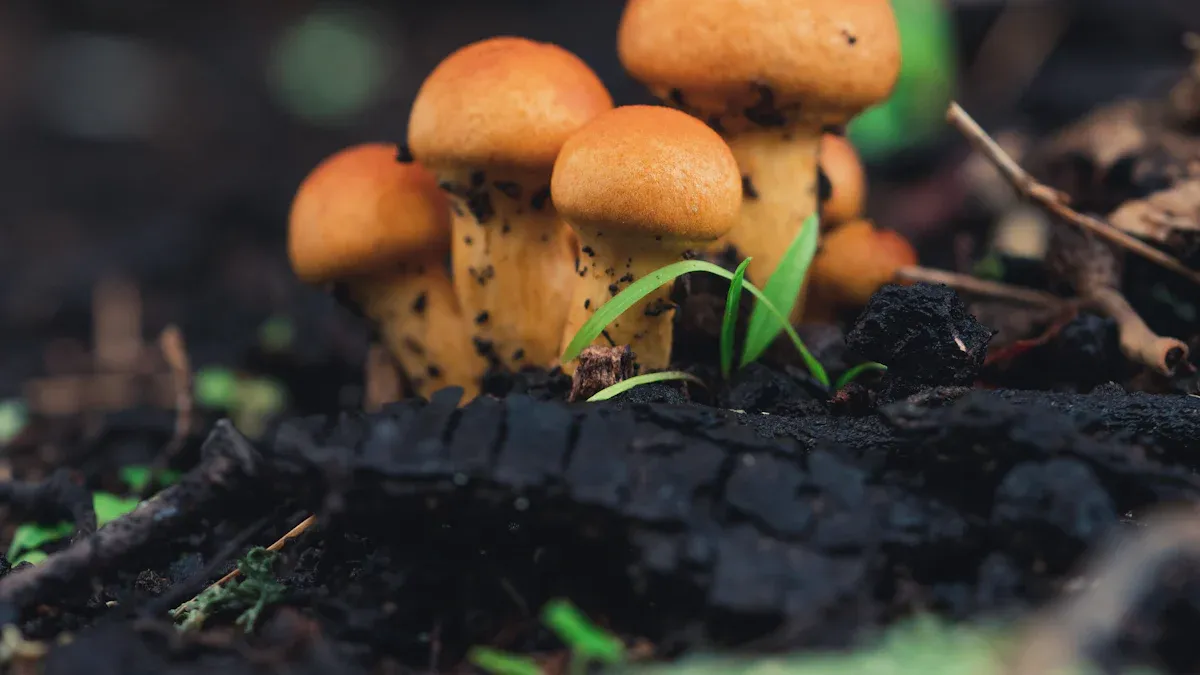 Trends bei der Finanzierung von Biotech-Start-ups im Jahr 2025