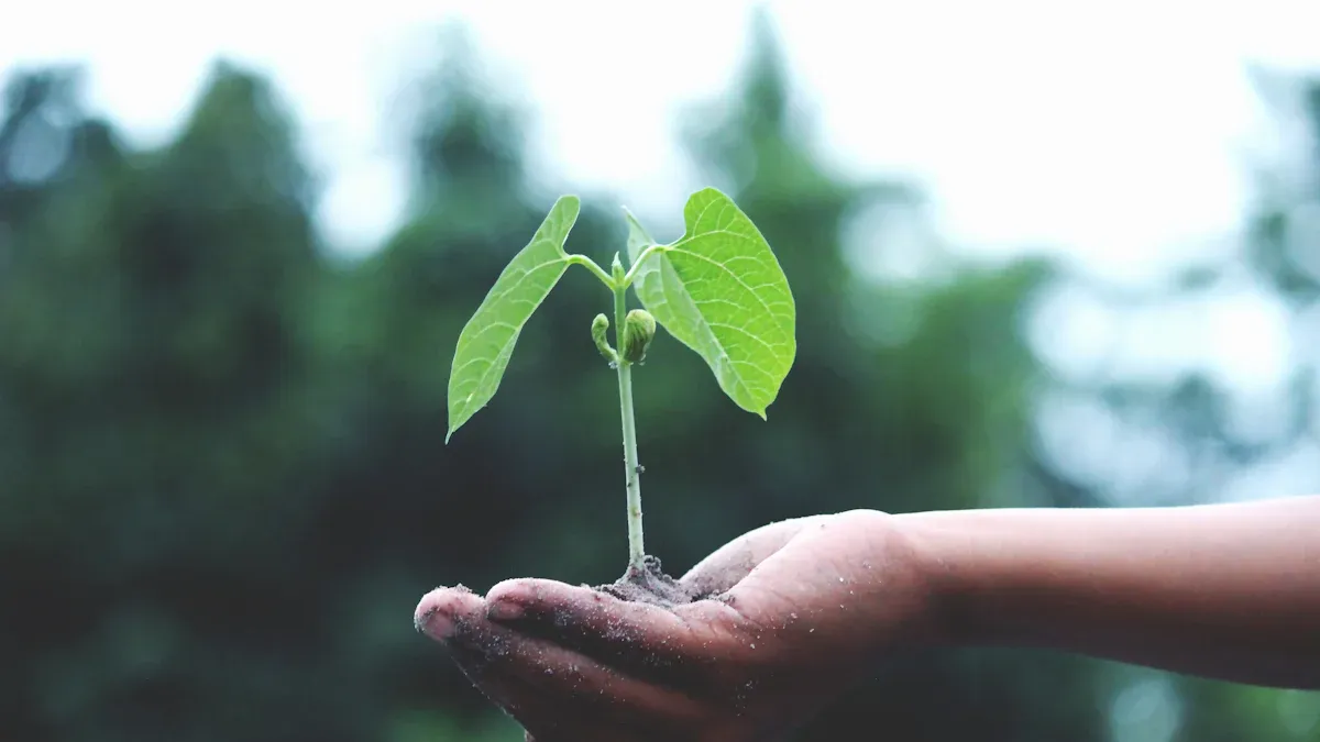 Growth Potential